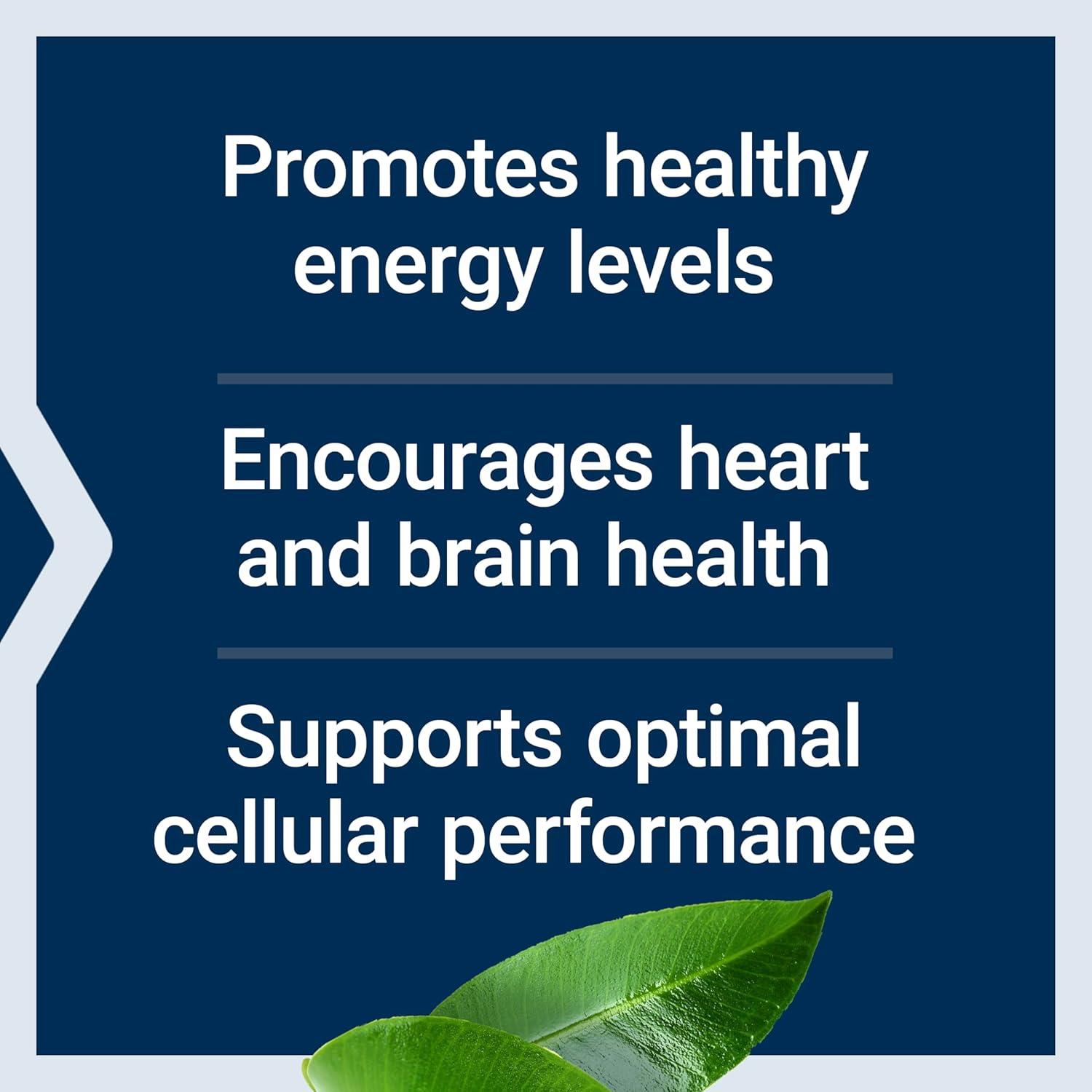 image:imageLife Extension LCarnitine 500 mg Energy Supplement Memory Supplement Free Form Amino Acid Nitric Oxide Support Healthy Blood Pressure GlutenFree NonGMO Vegetarian 30 Capsules30 Count Pack of 1
