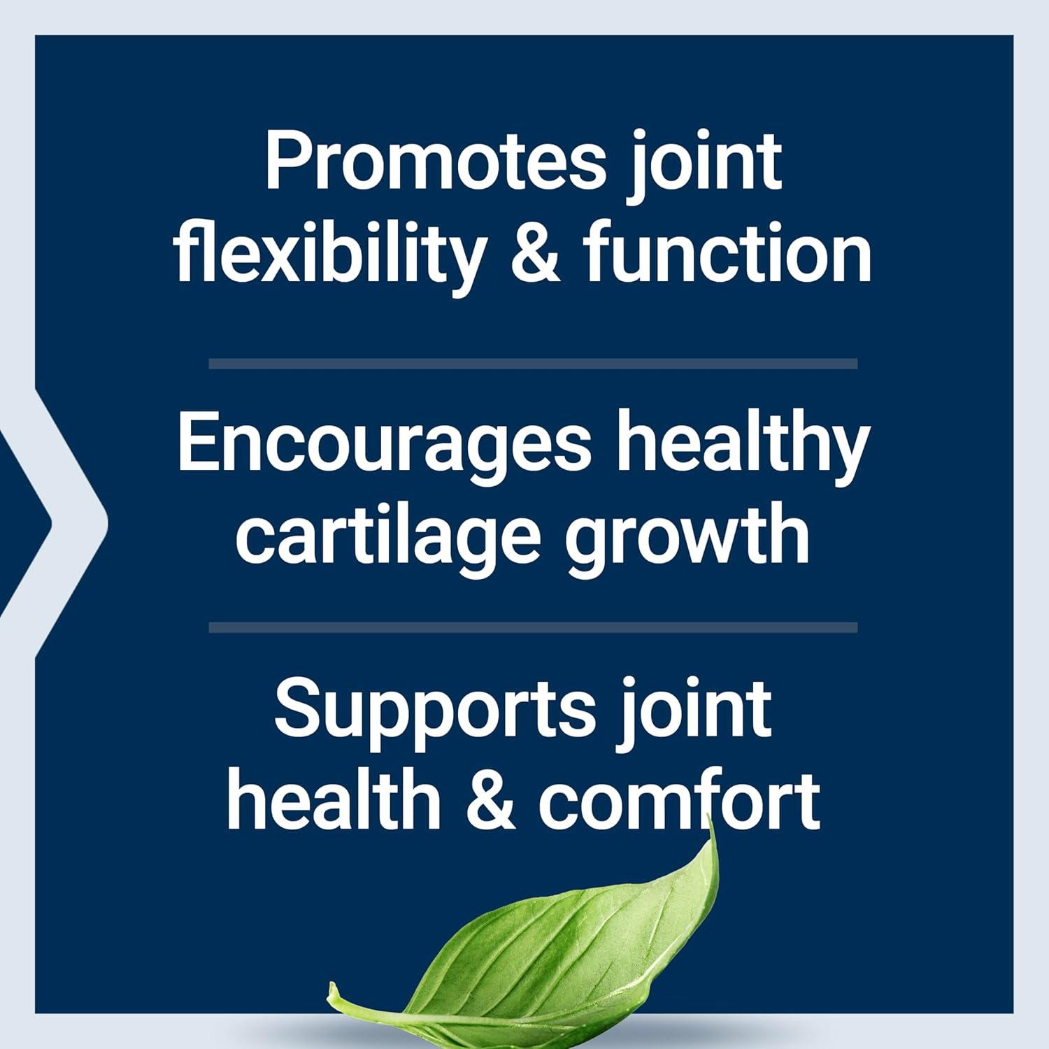 image:imageLife Extension NT2 Collagen Joint Health Supplement for Joint Comfort amp Mobility GlutenFree NonGMO 1 Daily 60 Small Capsules