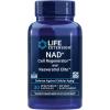 30 Count (Pack of 1)