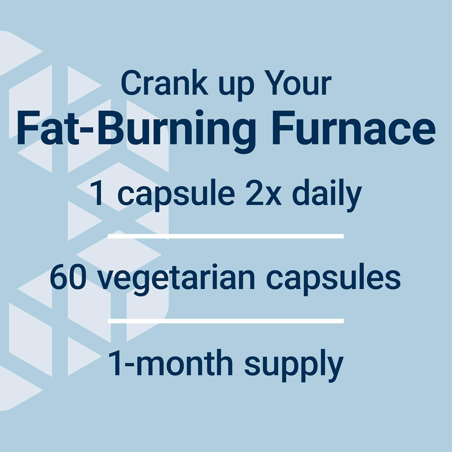 image:imageLife Extension 7Keto DHEA Metabolite Crank Up Your FatBurning Furnace NonGMO GlutenFree 100 Mg 60 Vegetarian Capsules60 Count Pack of 1