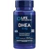100 Count (Pack of 1)