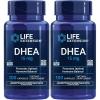 100 Count (Pack of 2)