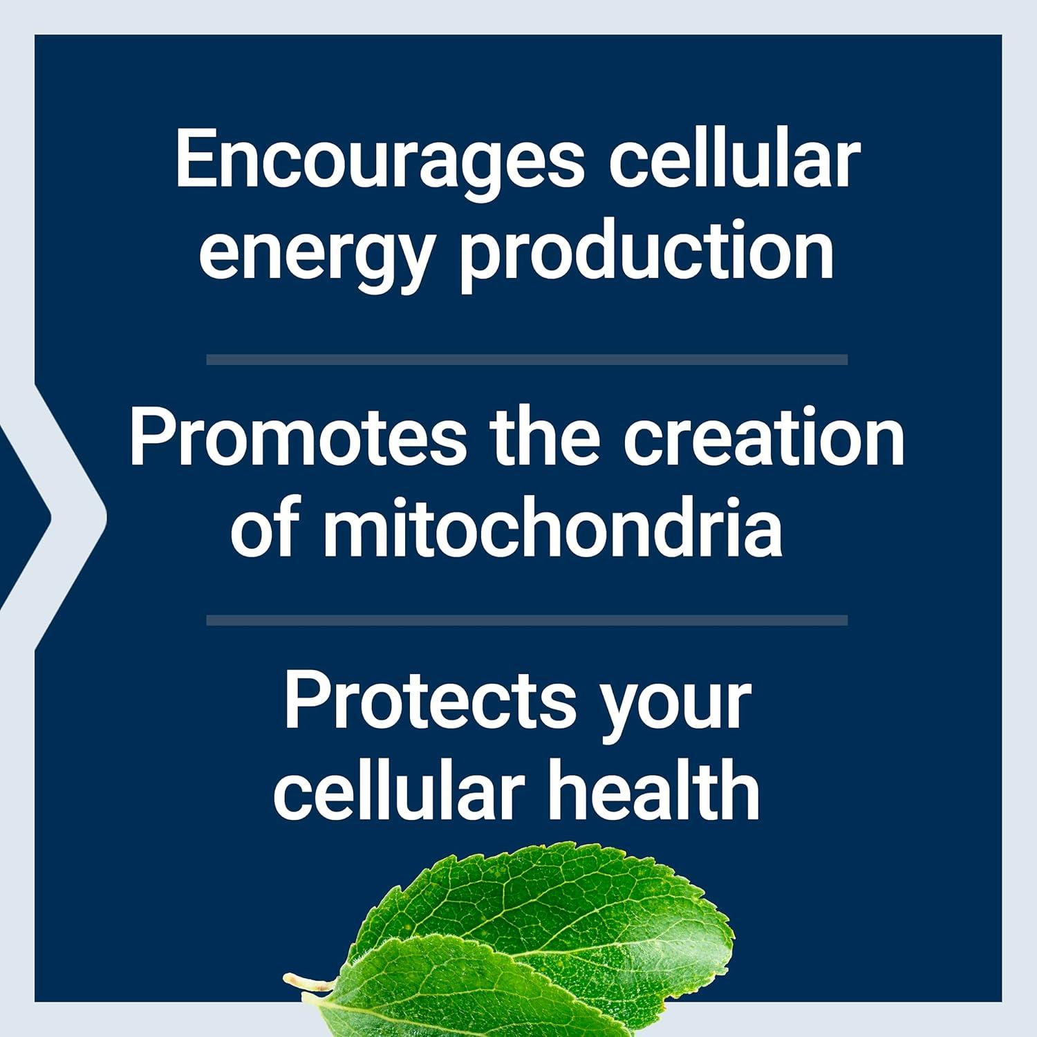image:imageLife Extension Mitochondrial Energy Optimizer with PQQ Energy Supplement for Healthy Mitochondria With Taurine Vitamin B Pyrroloquinoline Quinone GlutenFree NonGMO 120 Vegetarian Capsules180 Count Pack of 1