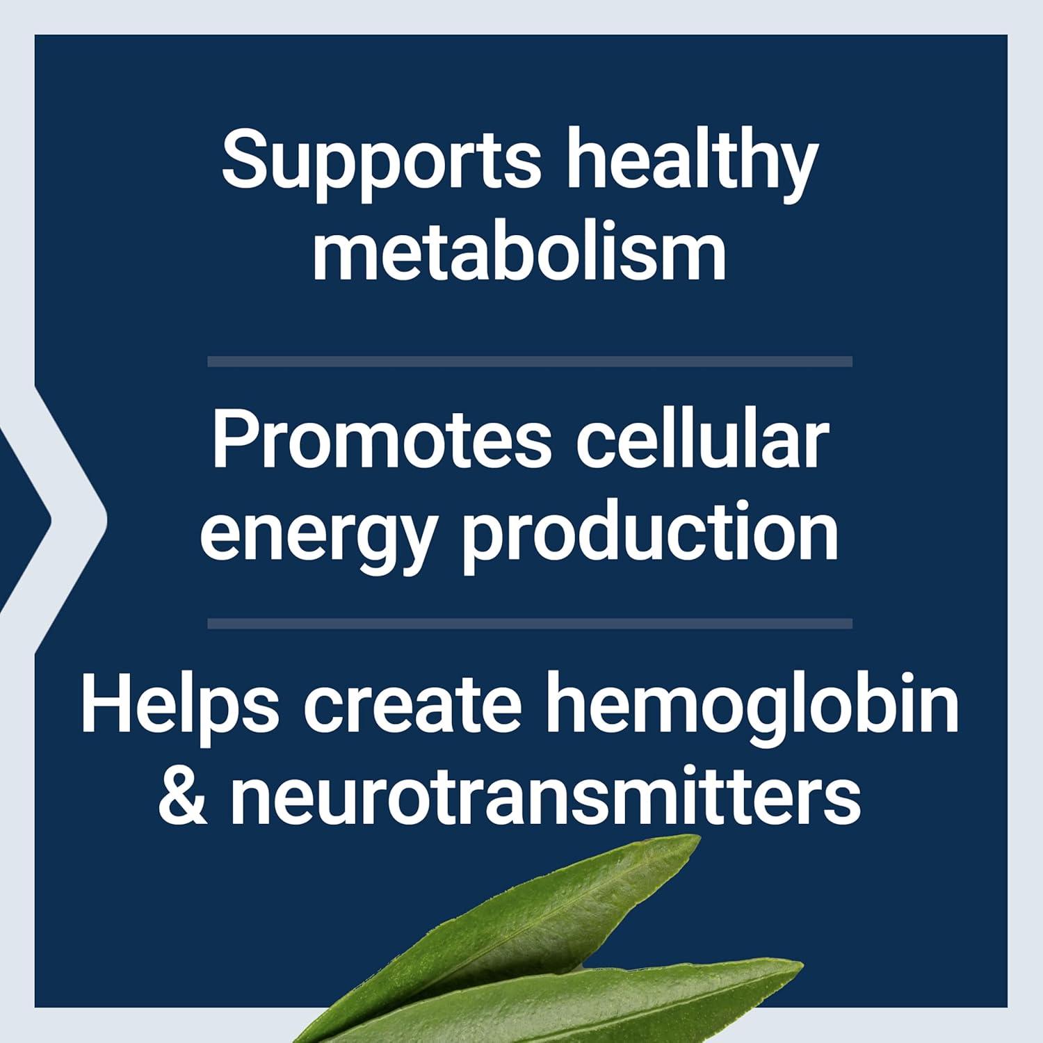 image:imageLife Extension Pantothenic Acid 500 mg Vitamin B5 Calcium Support Healthy Metabolism Mitochondrial Energy Production GlutenFree NonGMO Vegetarian 100 Capsules