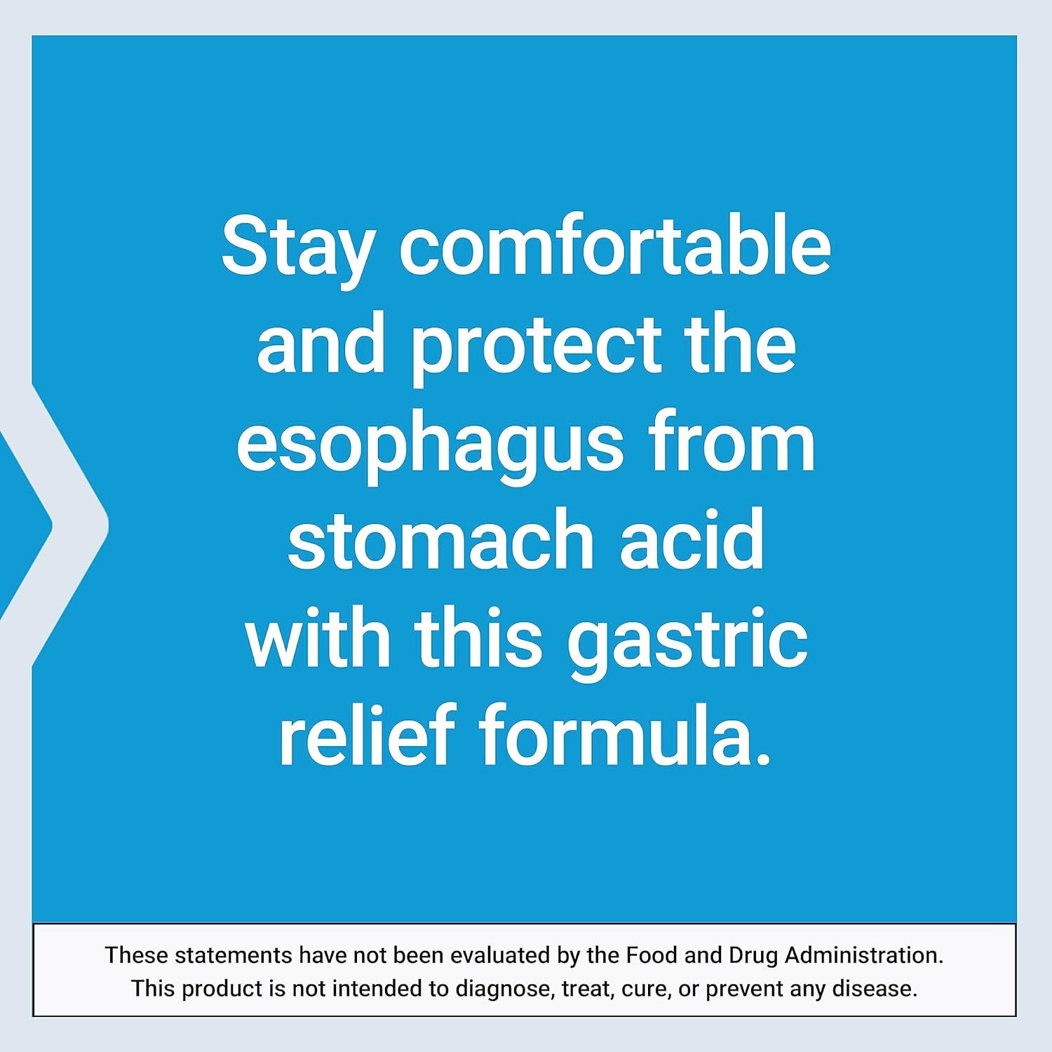 image:imageLife Extension Esophageal Guardian alginic Acid Potassium Bicarbonate get LongLasting Relief from gastric Distress Vegetarian NonGMO GlutenFree 60 Vegetarian chewable Tablets60 Count Pack of 2