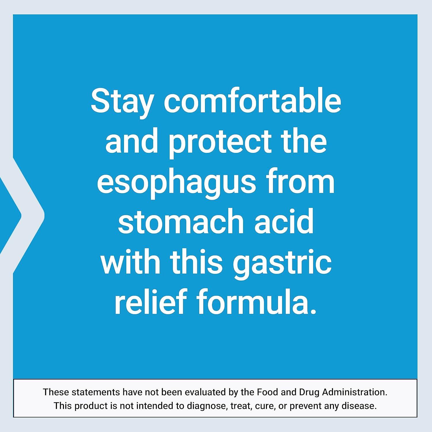 image:imageLife Extension Esophageal Guardian alginic Acid Potassium Bicarbonate get LongLasting Relief from gastric Distress Vegetarian NonGMO GlutenFree 60 Vegetarian chewable Tablets60 Count Pack of 1