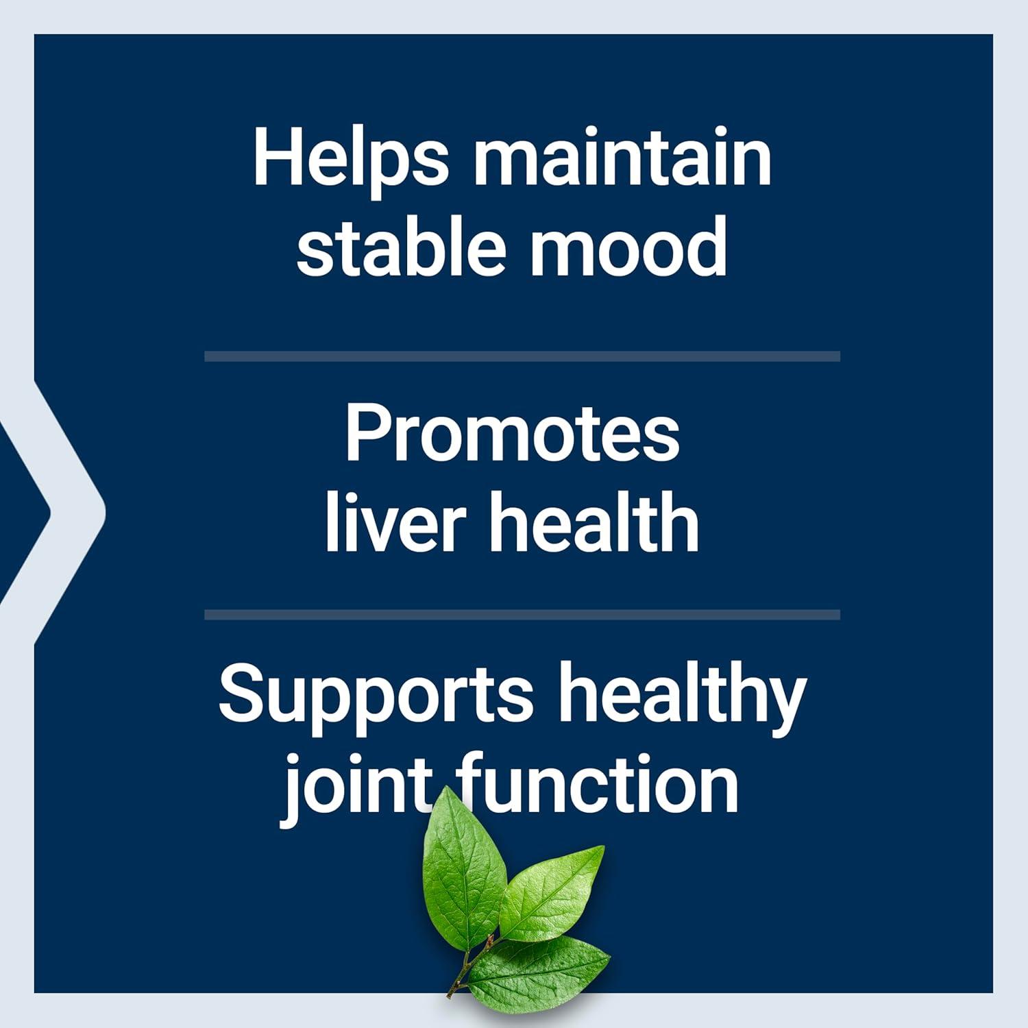 image:imageLife Extension Same SAdenosylMethionine 400 mg BestSelling Mood Health Liver Health and Joint Support Supplement NonGMO Vegetarian Gluten Free 60 entericCoated Tablets