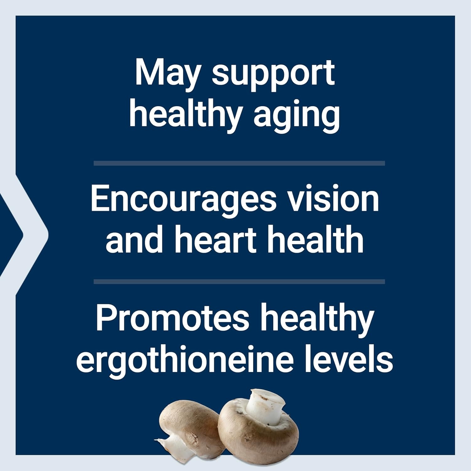 image:imageLife Extension Essential Youth LErgothioneine Promotes Longevity amp Healthy Aging GlutenFree NonGMO Vegetarian 5 mg 30 Vegetarian CapsulesNutritional Supplement