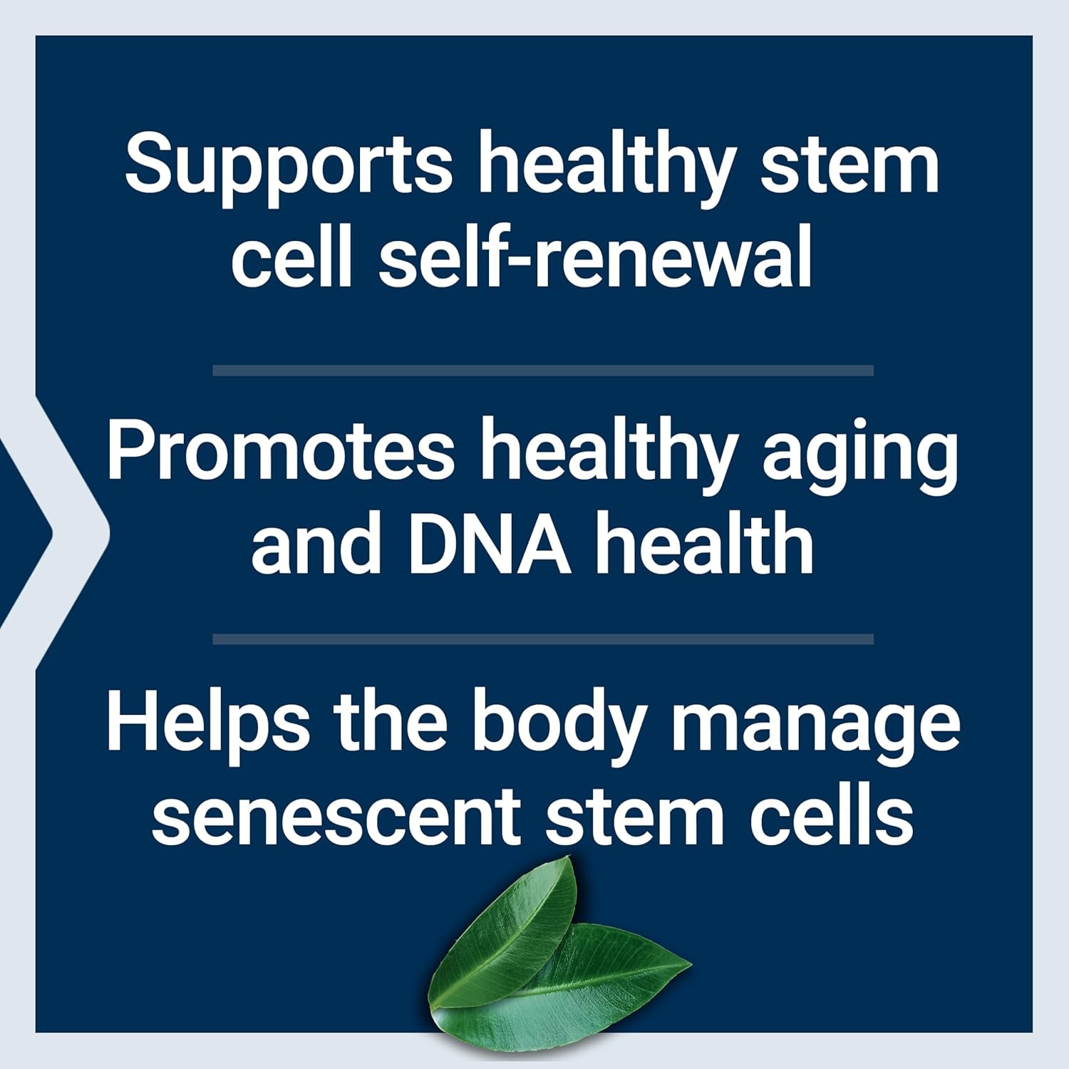 image:imageLife Extension GEROPROTECT Stem Cell Promotes Healthy Cellular Renewal kokum Extract Transresveratrol Gluten Free NonGMO Vegetarian 60 Capsules
