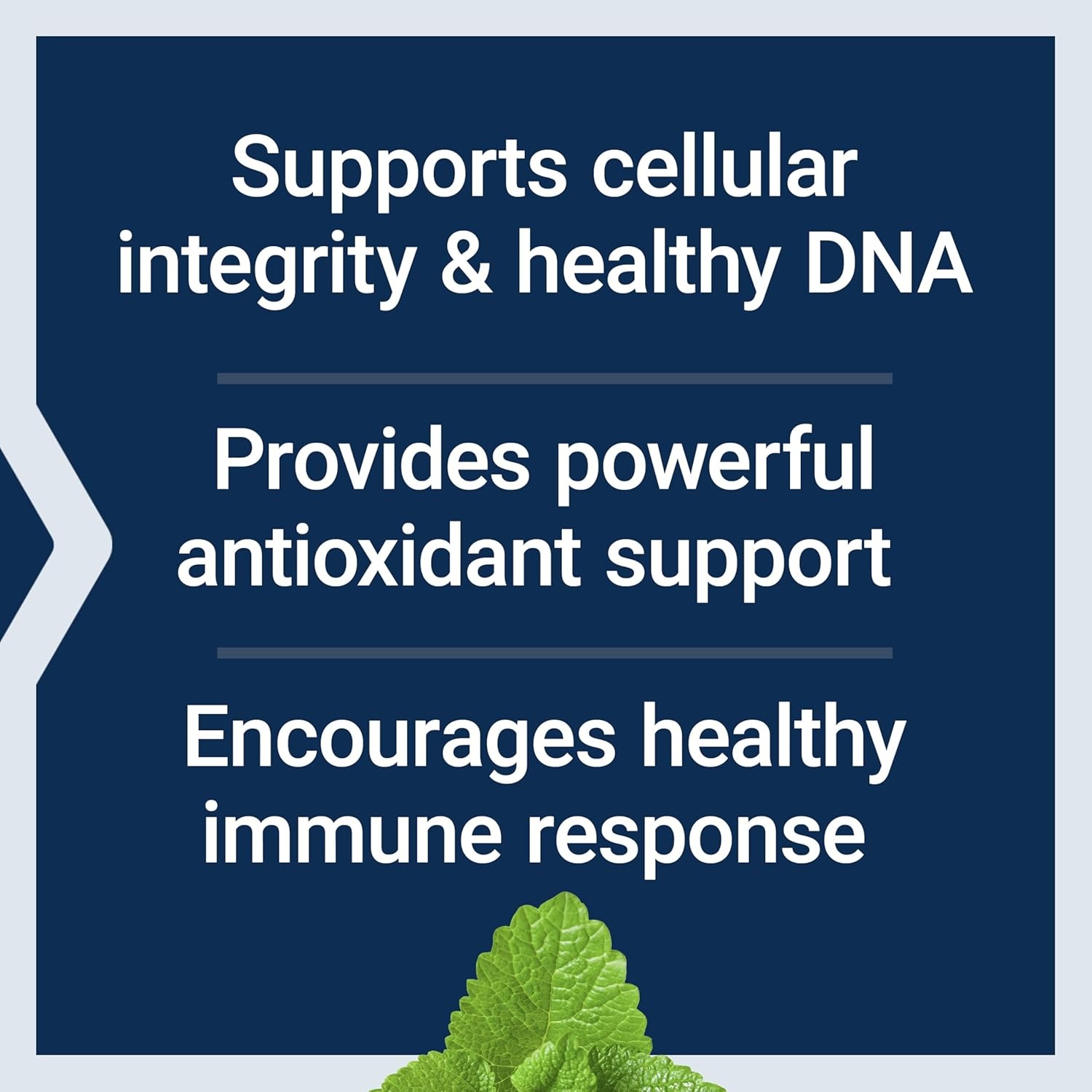 image:imageLife Extension XR Shield spirulina Lemon Balm Ginkgo biloba Supports Cellular Integrity amp DNA Health Encourages Healthy Immune Response GlutenFree NonGMO Vegetarian 90 Capsules