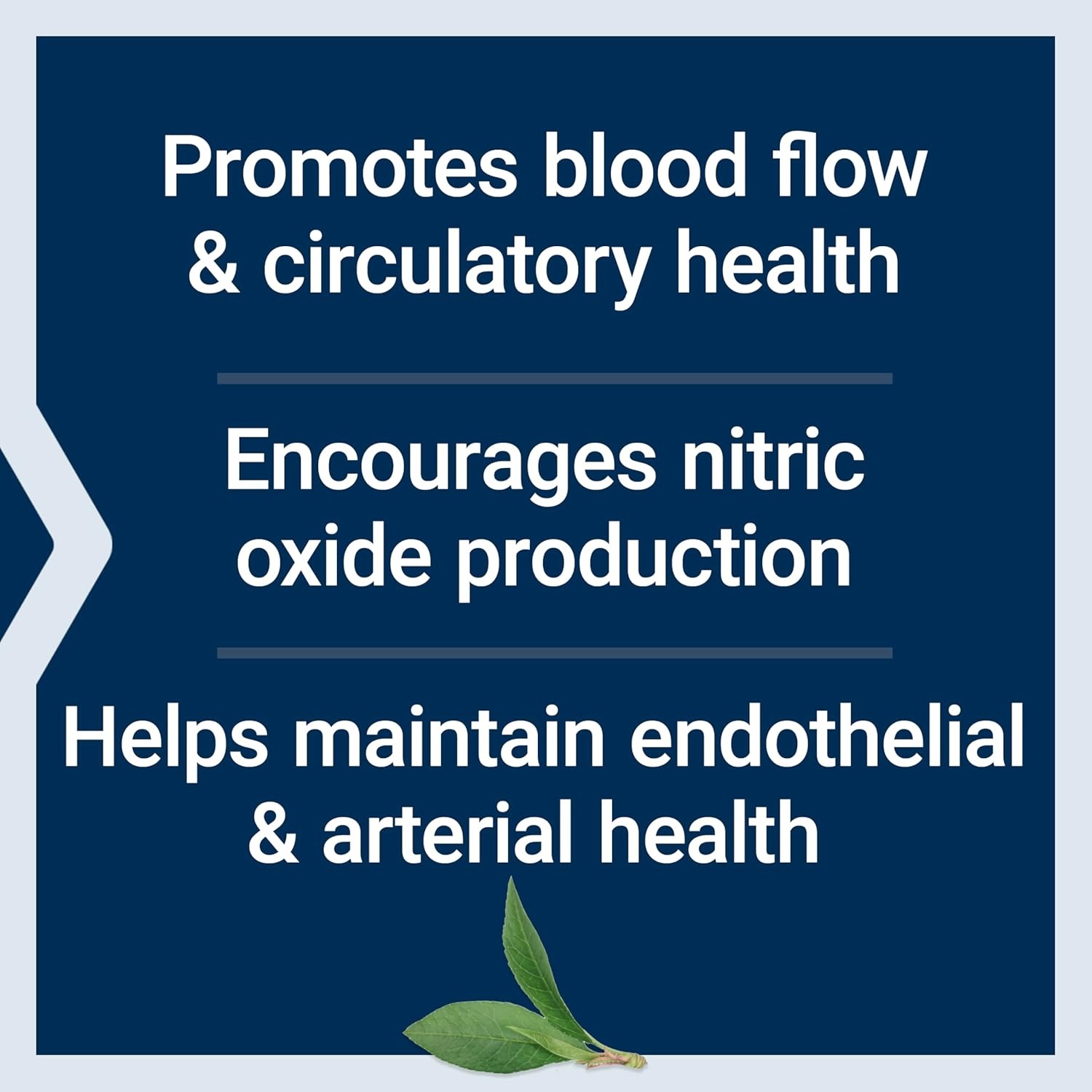 image:imageLife Extension NitroVasc Boost Blood Flow Supplement Nitric Oxide Support Heart Health Cardiovascular Support Larginine GlutenFree NonGMO Vegetarian 1 Scoop 30 Servings