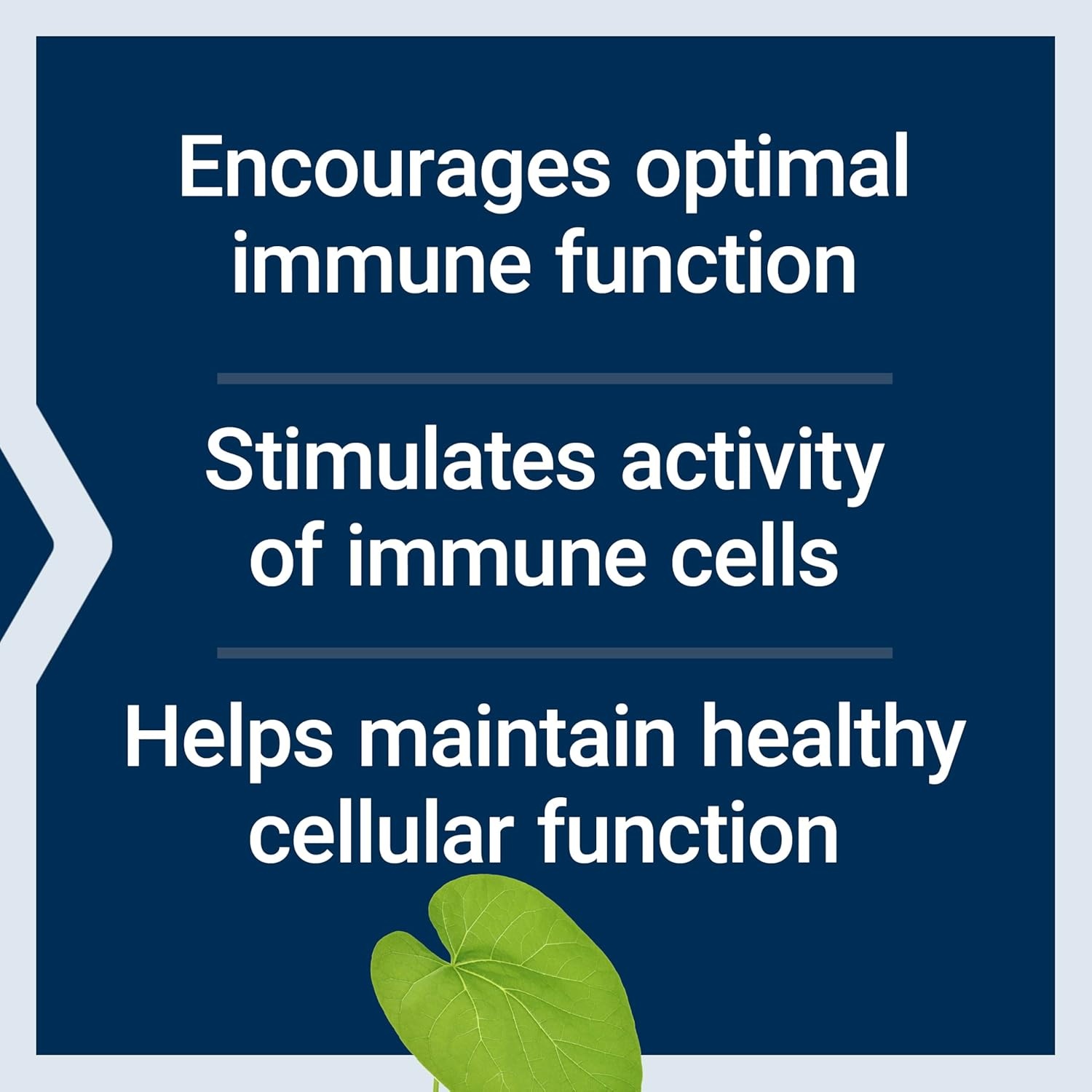 image:imageLife Extension Immune Modulator with Tinofend Powerful Immune Health Support standardized Tinospora Plant Extract GlutenFree NonGMO Vegetarian 60 Capsules