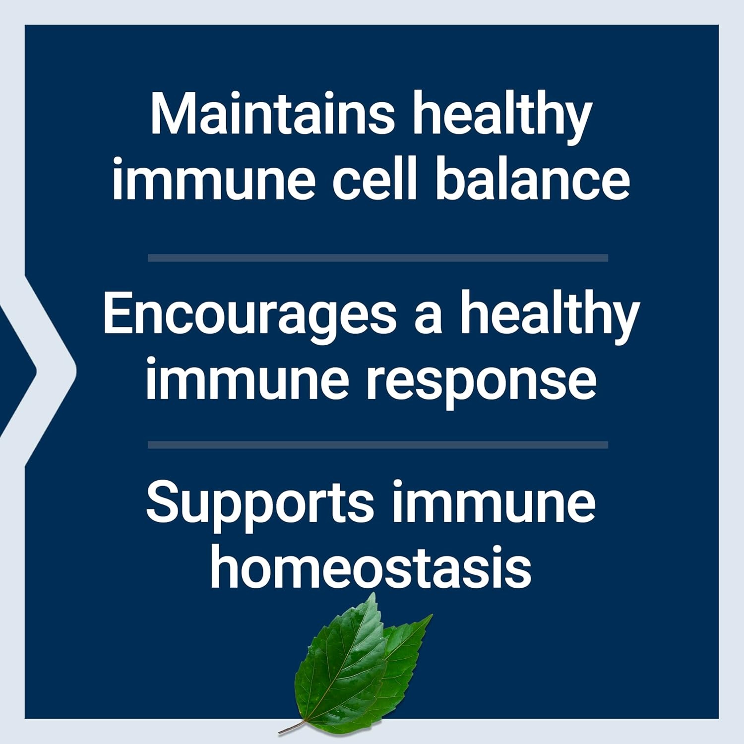 image:imageLife Extension Peony Immune White Peony Root Immune Health Support Immune System GlutenFree NonGMO Vegetarian 60 Capsules