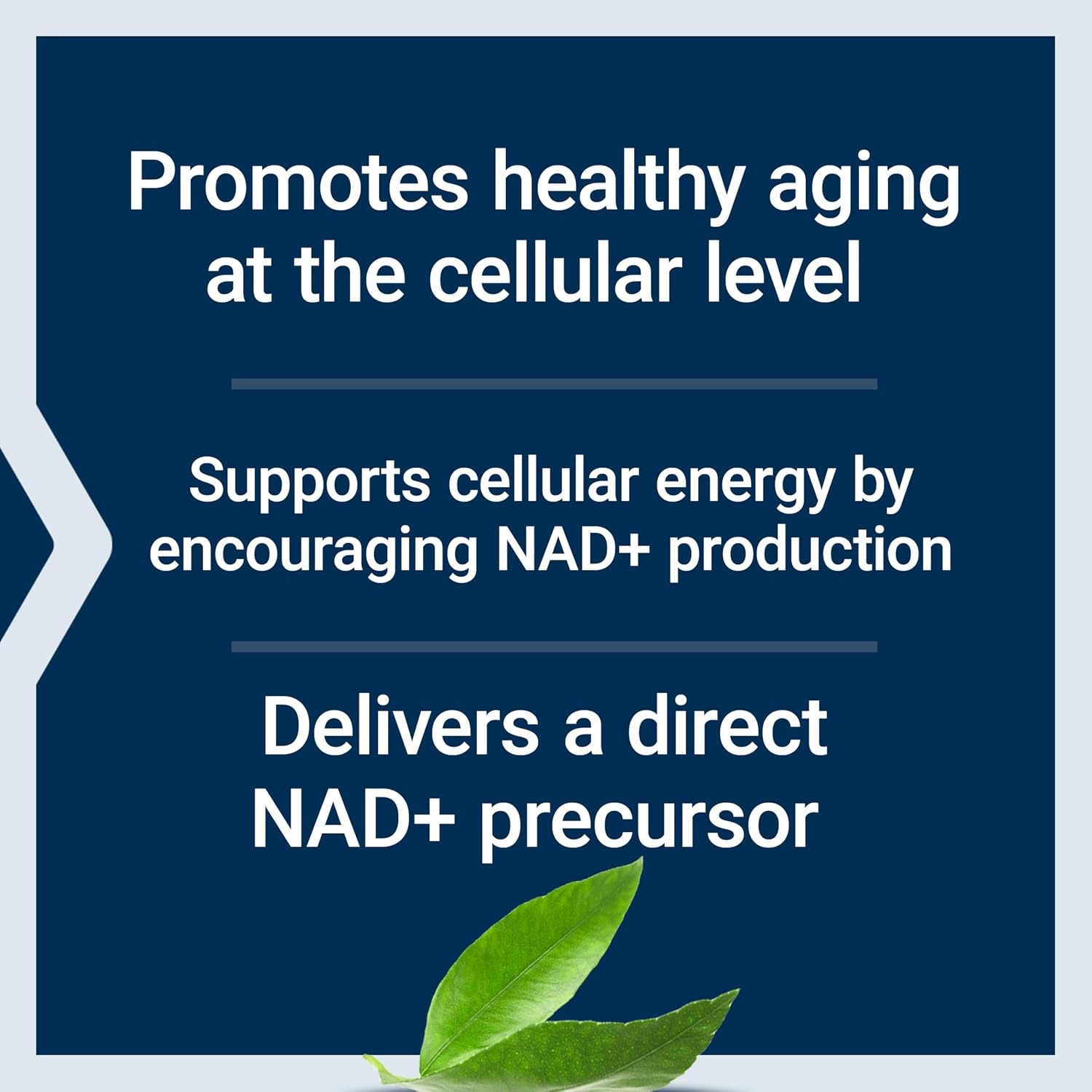 image:imageLife Extension NAD Cell Support NMN Healthy Aging Energy Support nicotinamide mononucleotide NAD 300 mg Gluten Free NonGMO Vegetarian 90 CapsulesUnflavored